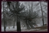Filename=f-015.jpg
Filesize=149KB
Dimensions=933x641
Date added=Mar 05, 2006 f-015.jpg