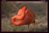 Filename=f-027.jpg
Filesize=103KB
Dimensions=933x641
Date added=Mar 05, 2006 f-027.jpg