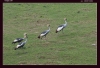 Filename=f-025.jpg
Filesize=292KB
Dimensions=933x641
Date added=Mar 05, 2006 f-025.jpg