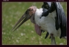 Filename=f-030.jpg
Filesize=120KB
Dimensions=933x641
Date added=Mar 05, 2006 f-030.jpg