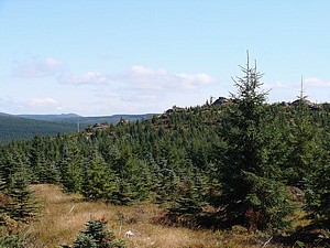 jizerskehory dsc01984.jpg
