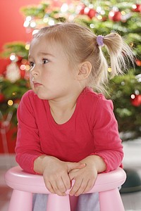 stella img_9341.jpg