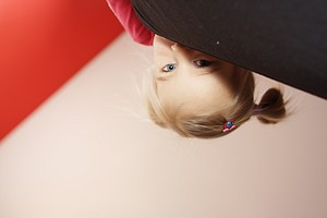 stella img_9351.jpg